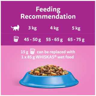 Whiskas 1+ Complete Dry With Tuna 800g