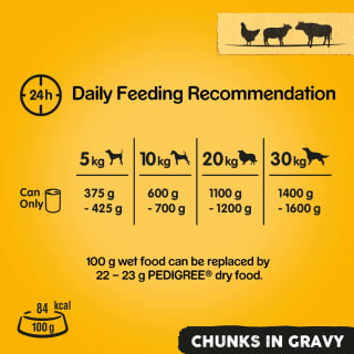 Pedigree Chunks Dog Food In Gravy Meat Selection 12pk