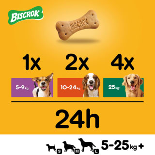 Pedigree Biscrok Original Dog Treats 500g