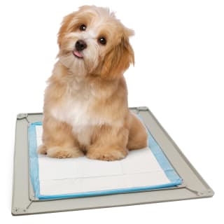 B&M Puppy Pad Holder