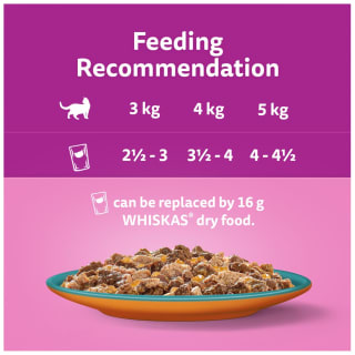 Whiskas 1+ Duo Surf & Turf In Jelly 12 X 85g