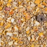  Glenwood Seed & Insect Mix 650g