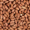  Glennwood Wild Bird Peanuts 400g
