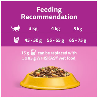  Whiskas 1+ Complete Dry With Chicken 800g