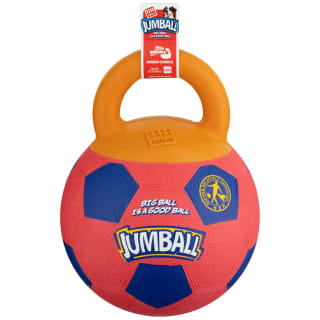 B&M Gigwi Jumball Dog Toy