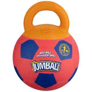B&M Gigwi Jumball Dog Toy