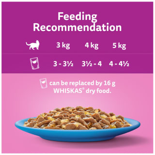  Whiskas 1+ Fish Favourites In Jelly Mega Pack 40pk