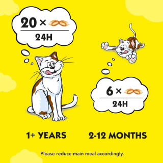 Dreamies Cat Treats 60g - Beef
