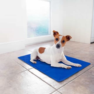 B&M Pet Cooling Mat - Small