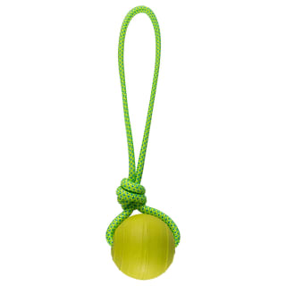 B&M Floating Dog Toy - Green Ball