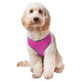 B&M Pet Cooling Harness - Pink - X-Small
