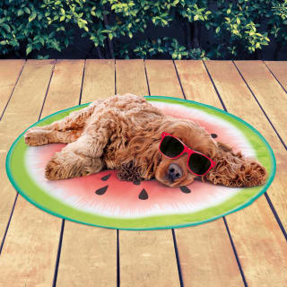 B&M Pet Cooling Fruit Mat - Watermelon