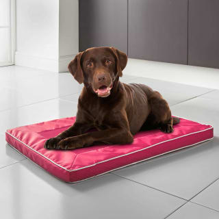 B&M Air Flow Pet Cooling Mat - Pink