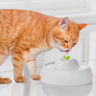 B&M Pet Drinking Fountain 1.1L