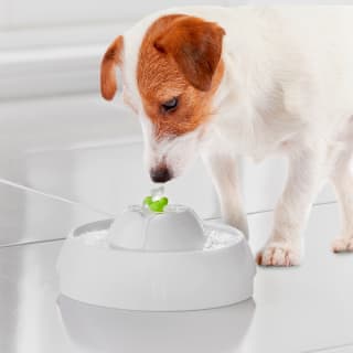 B&M Pet Drinking Fountain 1.1L