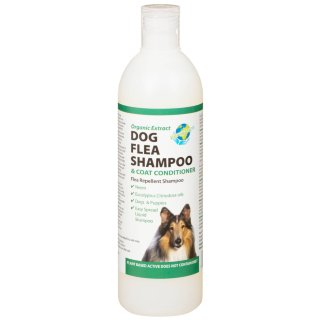 B&M Paragon Flea Shampoo 250ml