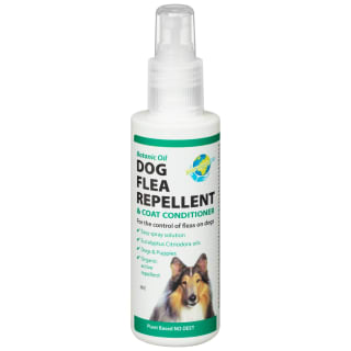 B&M Paragon Flea Repellent