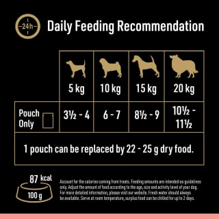  Cesar Deliciously Fresh Wet Dog Food Pouches Favourites In Sauce 12 X 100g