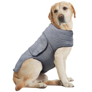 B&M Calming Dog Coat - Large-Extra Large