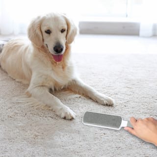 B&M Lint Brush Pet Hair Remover
