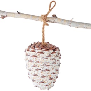  Glennwood Suet Filled Pine Cone Bird Treat
