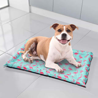 B&M Pet Cooling Crate Mat - Flamingo