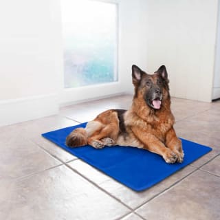 B&M Extra Large Pet Cooling Mat