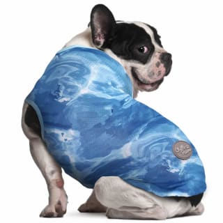 B&M Cooling Dog Vest - Blue