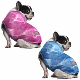 B&M Medium Dog Cooling Vest - Blue