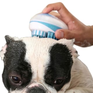 B&M Ergonomic 2-in-1 Shampoo Brush - Blue