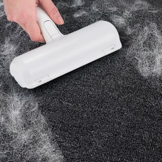 B&M Lint Roller Pet Hair Remover