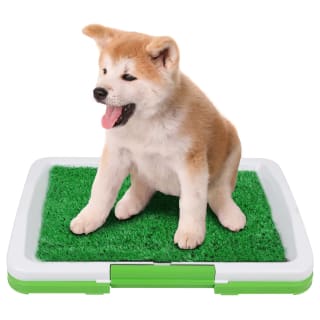 B&M Puppy Toilet Trainer