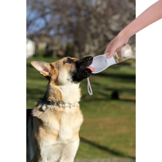 B&M Pet Travel Water Bottle
