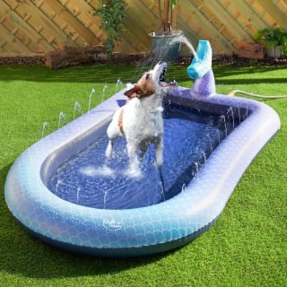 B&M Pet Splash Pool
