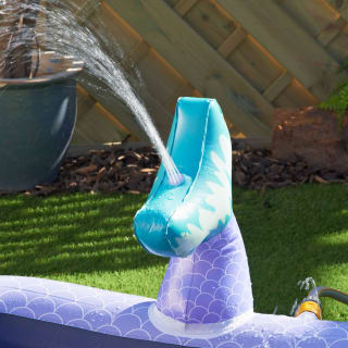 B&M Pet Splash Pool