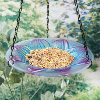  Wilde & Oakes Floral Glass Bird Feeder - Blue