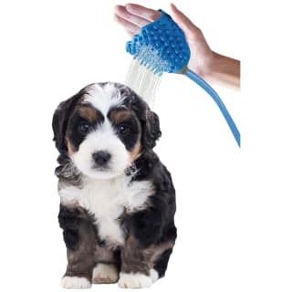 B&M Outdoor Pet Bathing Set