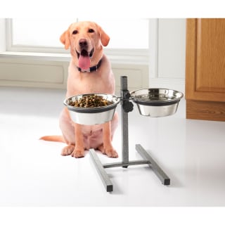 B&M Petshop Steel Double Raised Pet Feeder