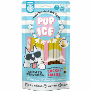 B&M Pup Ice Rocket Lollies 2pk - Banana & Chocolate