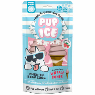 B&M Pup Ice Waffle Cones 2pk - Strawberry