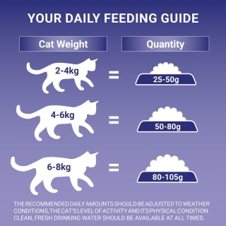  Purina One Senior Dry Cat Food - Chicken 750g