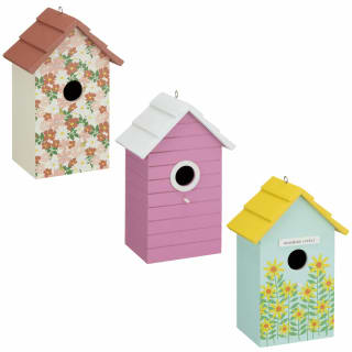  Bird House - Blooming