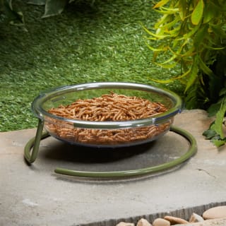  Wilde & Oakes Robin Floor Feeder