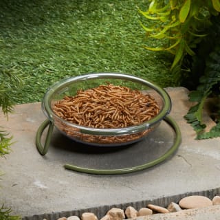  Wilde & Oakes Robin Floor Feeder
