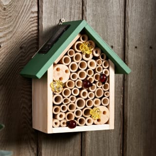 B&M Solar Bee House