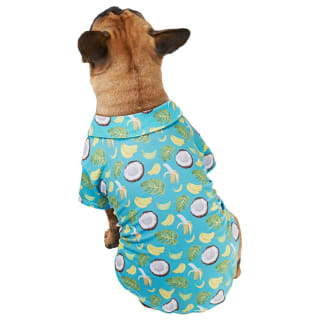 B&M Dog Summer Shirt - Medium - Bananas