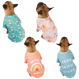 B&M Dog Summer Shirt - Small - Spring Vibes
