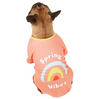 B&M Dog Summer Shirt - Small - Spring Vibes