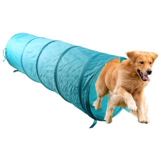 B&M Dog Tunnel