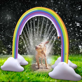 B&M Doggy Sprinkler Tunnel